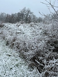 La neige