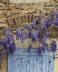 Maison de campagne