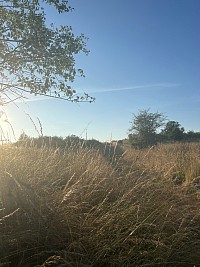 Solstice