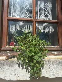 Fenêtre de ma maison